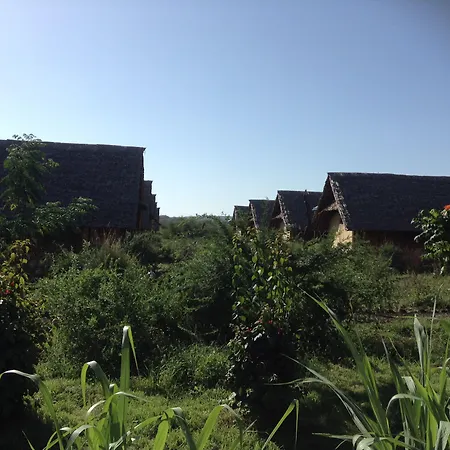 Aa Lodge Amboseli-3