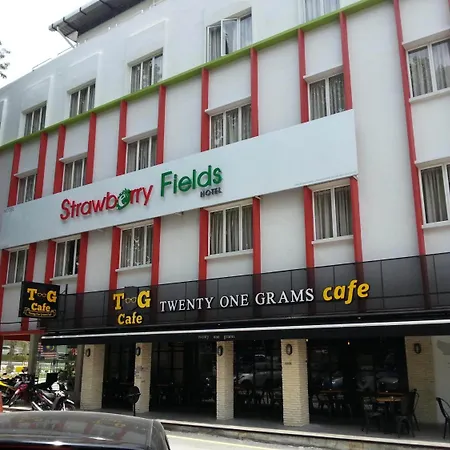Hotel Strawberry Fields-2
