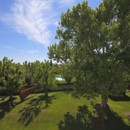 La Barchessa di Villa Pisani-3