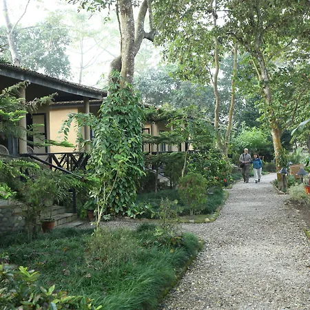 Jungle Villa Resort - Near Chitwan National Park-2