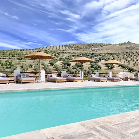 Lemon Tree Retreat At El Amparo-2