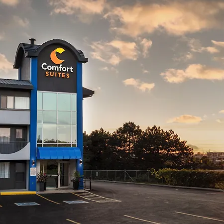 Comfort Suites Kingston Central-3