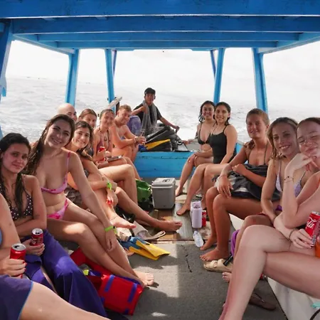 Tipsea Turtle Gili Trawangan-2