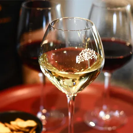 ibis Beaune La Ferme Aux Vins-3