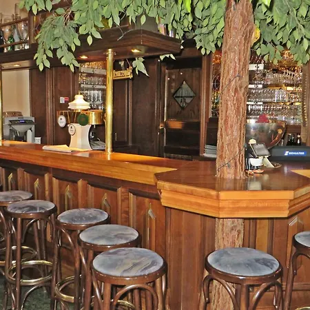 Hotel Roseneck-2