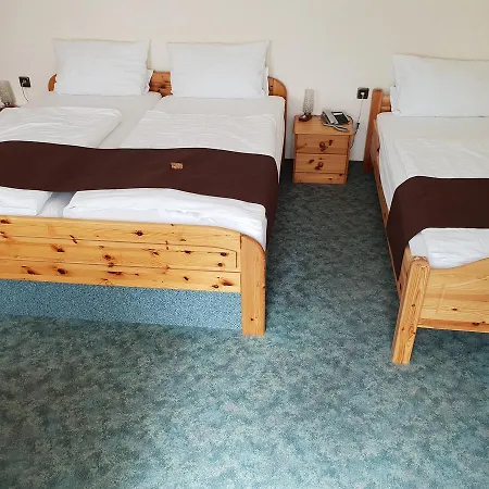Hotel Grüner Baum-2