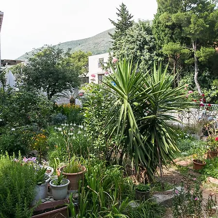 Yellow Room Guesthouse-3