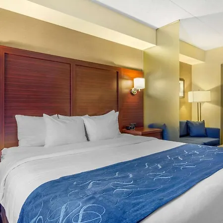 Comfort Suites Downtown Windsor-2