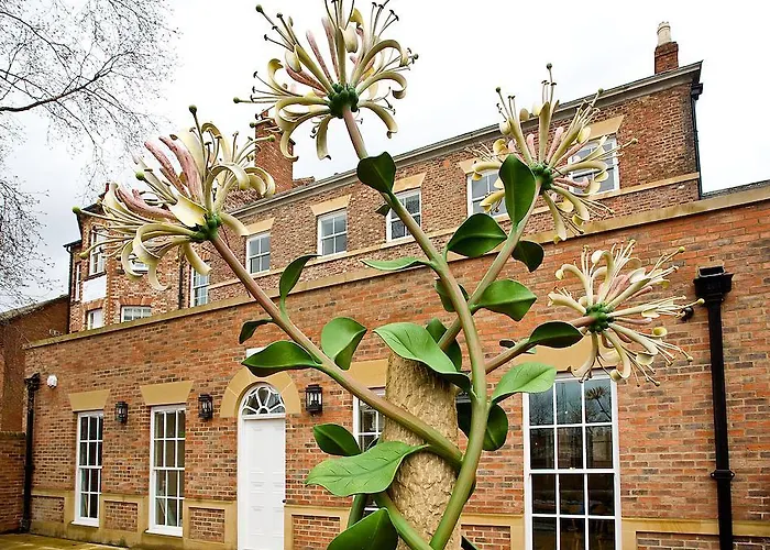 Houndgate Townhouse Hotel Darlington 