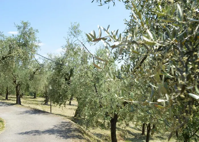 Il Podere di Tacito Montecatini-Terme