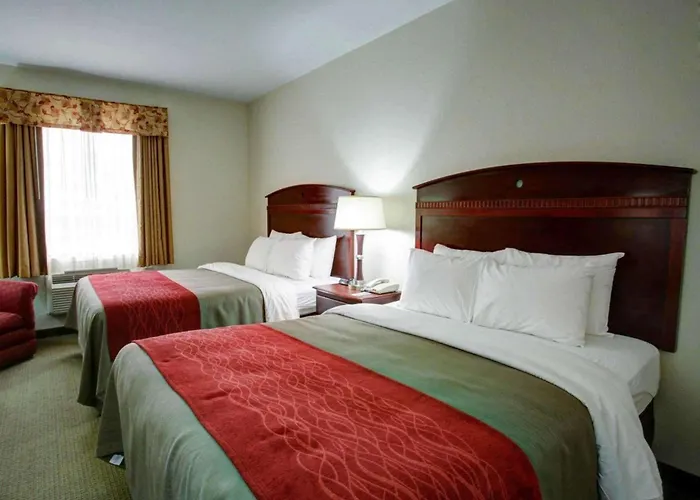 Quality Inn Rockdale