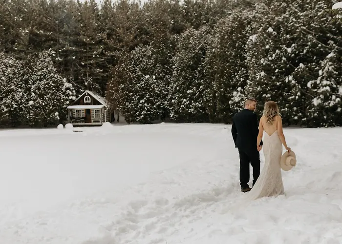 A Rustic Cabin In The Woods Orangeville
