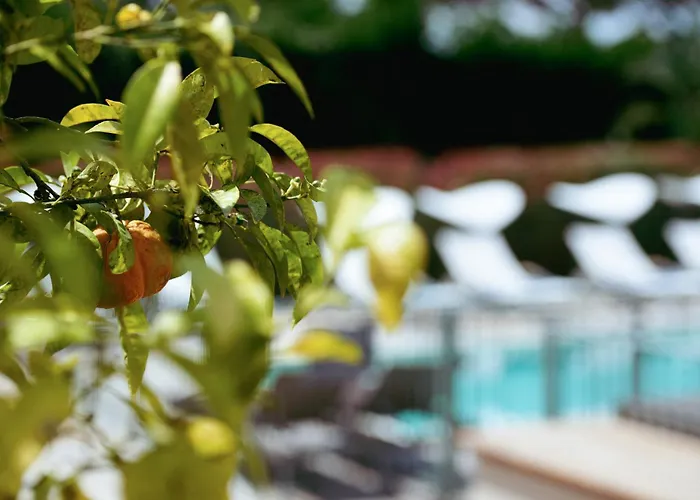 Hôtel Villa Fabulite Antibes