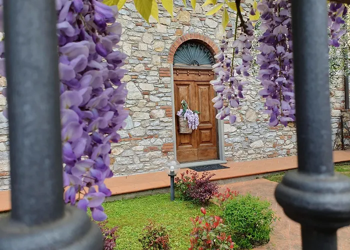 Pietra E Glicine B&B Pieve a Nievole