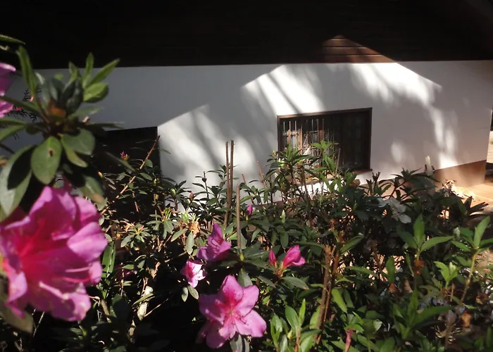 Casa De Campos Campos do Jordão