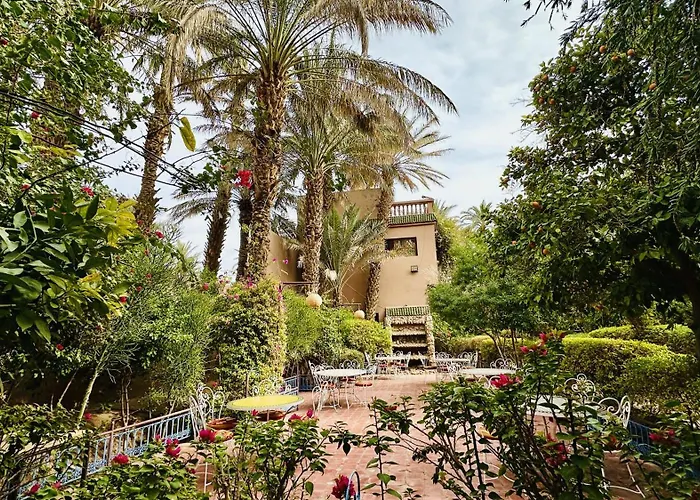 Chez Ali Zagora Authentic Hotel Restaurant And Desert Excursions