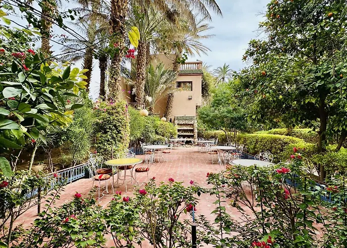 Chez Ali Zagora Authentic Hotel Restaurant And Desert Excursions