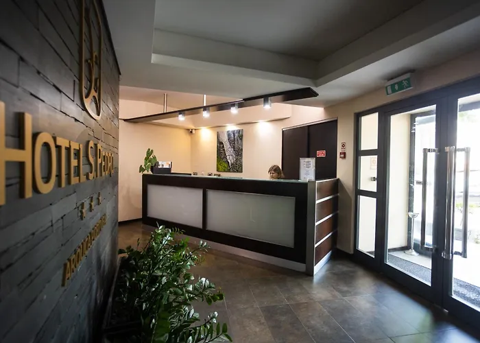 Hotel S Pedro - Arouca