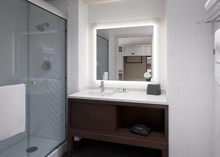 Holiday Inn - Nw Houston Beltway 8 By Ihg Louetta