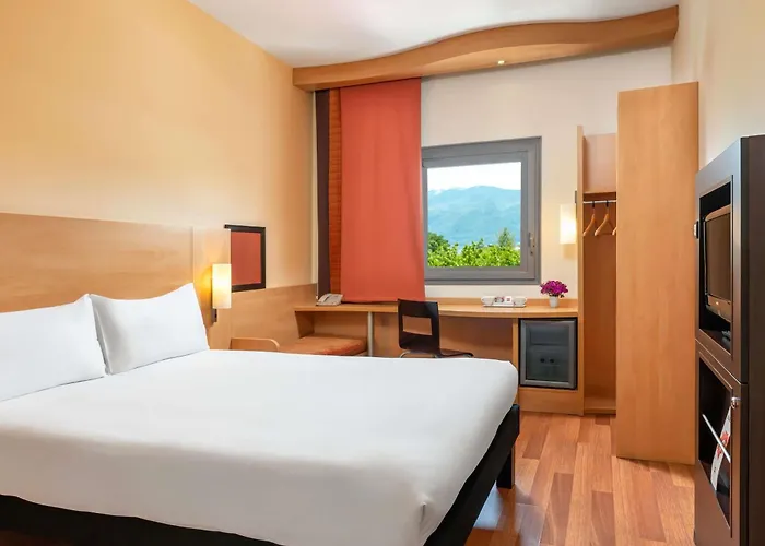 Ibis Bursa