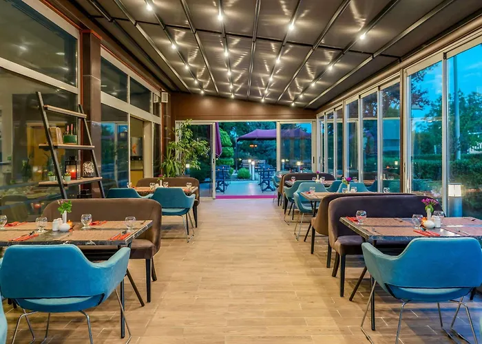 Ibis Bursa