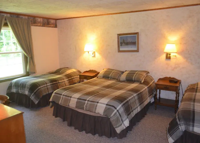 Big Bears Lodge West Dover