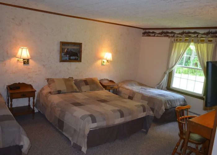 Big Bears Lodge West Dover