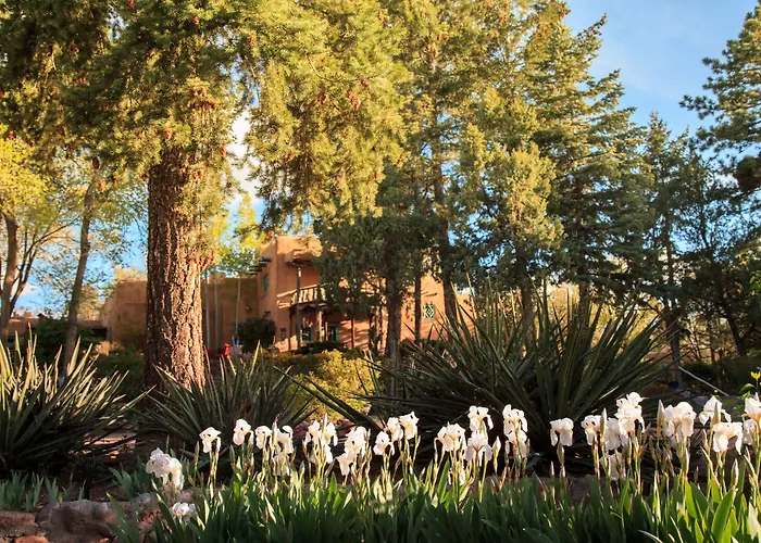 Inn Of The Turquoise Bear Santa Fe
