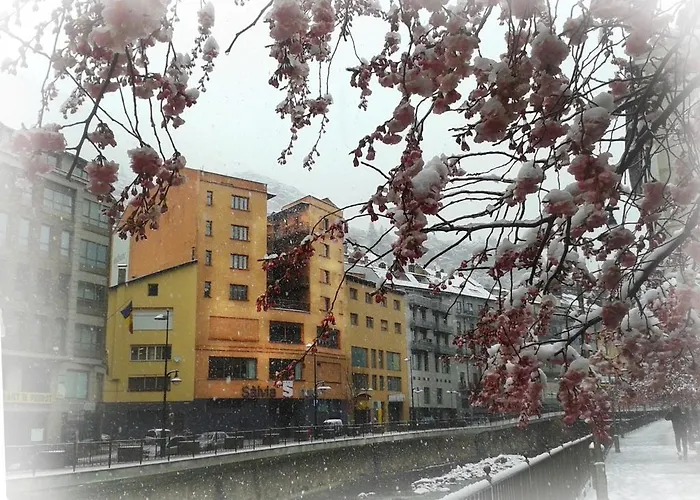 Salvia D'Or